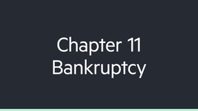 Chapter 11 Bankruptcy image