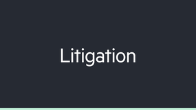 Litigation image