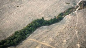 Article image: Climate Tech Guide