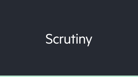 Scrutiny image
