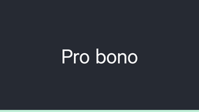 Pro bono image