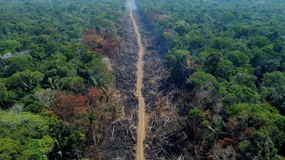 Companies face intensifying scrutiny over greenwashing image