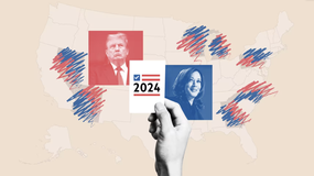 The swing state battles that will win the US election image