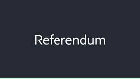 Referendum image