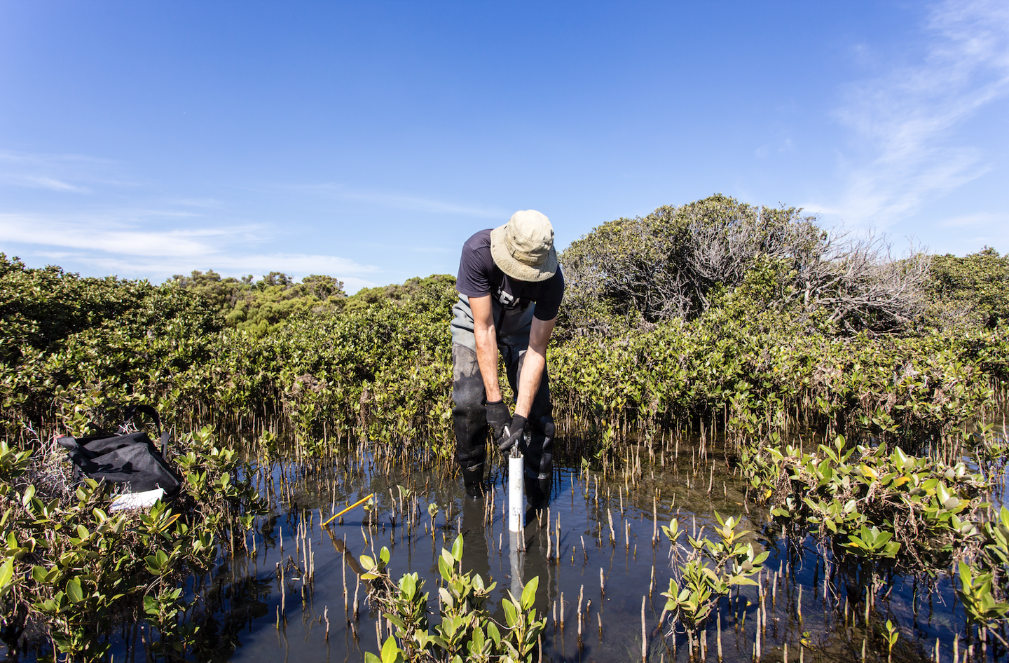 McIntire quote image