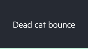 Dead cat bounce image